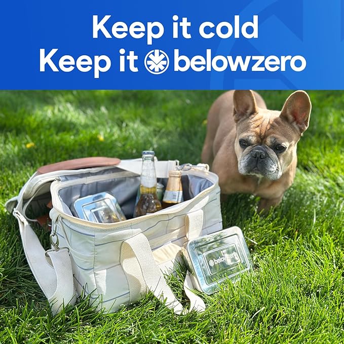 Below Zero Deluxe Stainless Steel Cooling Pack - Durable Ice Pack Lasts 48 Hours, Ice Pack for Bento, Lunch Bags, Coolers, Picnics, Camping, Beachgoers, Sporting Events - Longest Lasting