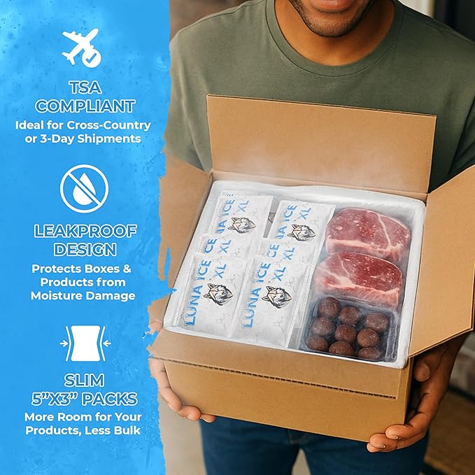 LUNA ICE Dry Ice Packs for Shipping XL - Long lasting ice packs - 24+ Hour Freeze Power - BPA Free - 6 Pack Bulk 3 lb – Hielo Seco - Reusable Gel Bricks for Food