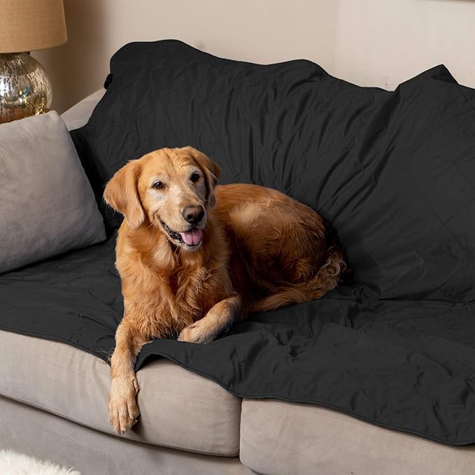 BRAWNTIDE Large Outdoor Waterproof Blanket - Extra Thick Fleece, Warm, Windproof, Sandproof, Quilted, 82" x 55", Ideal for Beaches, Picnics, Camping, Stadiums, Dogs, Car