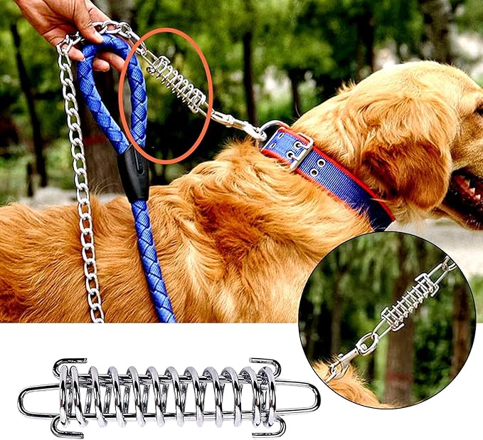 2Pcs Dog Leash Shock Absorbing Buffer Tension Spring Training Sun Shade, Heavy Duty Stainless Steel 304 Tent Rope Fixed Buckle Drawbar Spring (S)
