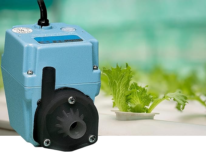 Little Giant 2E-38NY 230 Volt, 300 GPH, 1/40 HP, Manual In-line/Submersible Small Oil-filled Aluminum Pump with 12-ft. Cord (Plug-less), Blue, 502216
