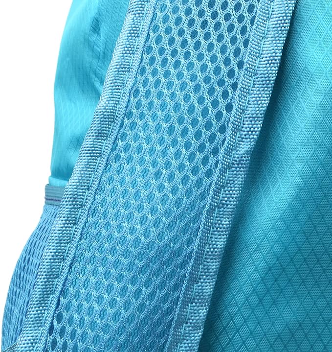 25L Backpack Packable Foldable Ultra Lightweight Water Resistant Durable Camping Travel Hiking Daypack for Men Women (Blue)