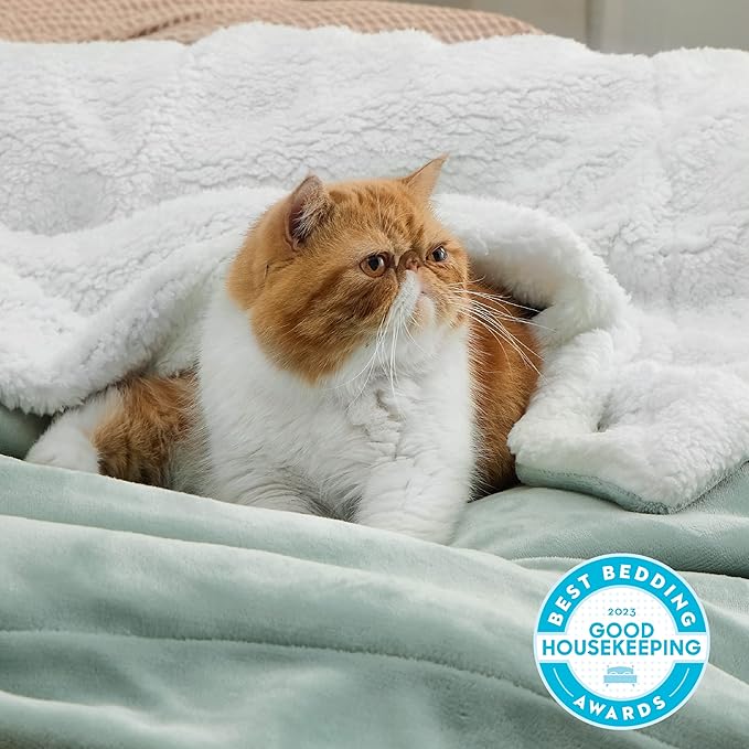 Bedsure GentleSoft Sherpa Fleece Blankets Queen Size for Bed - Thick and Warm, Soft Fuzzy Plush Queen Blanket for Winter, Sage Green, 90x90 Inches