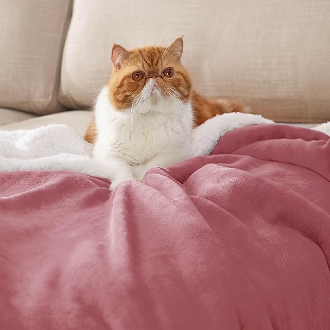 Bedsure GentleSoft Sherpa Fleece Throw Blanket Twin Size for Couch - Thick and Warm, Soft Fuzzy Plush Twin Blanket for Winter, Dusty Rose, 60x80 Inches