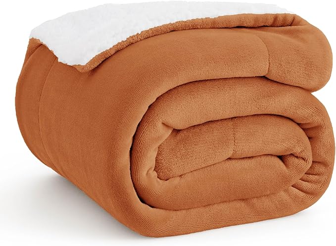 Bedsure GentleSoft Sherpa Fleece Throw Blanket Twin Size for Couch - Thick and Warm, Soft Fuzzy Plush Twin Blanket for Winter, Burnt Orange, 60x80 Inches