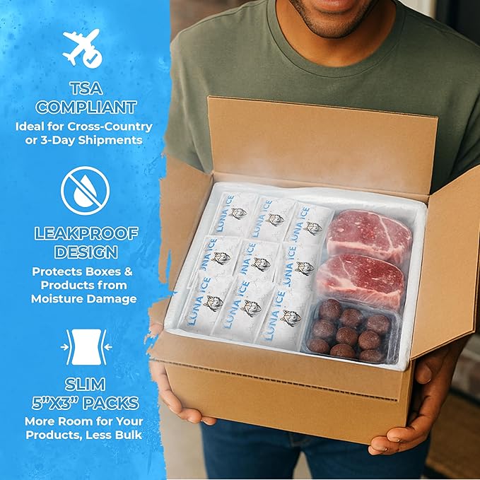 Dry Ice Packs for Shipping - Long Lasting ice Packs - 24+ Hour Freeze Power - BPA Free - 48 Pack Bulk 12 lb – Hielo Seco - Reusable Gel Bricks for Food