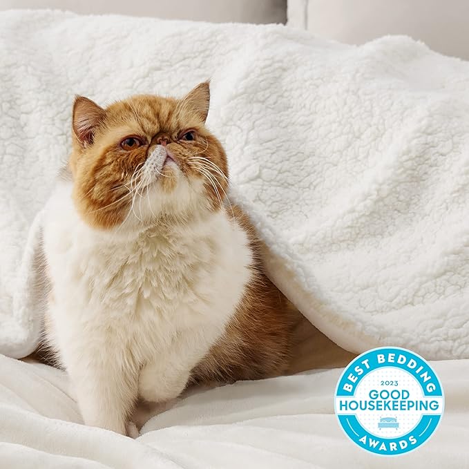 Bedsure GentleSoft Sherpa Fleece Blankets King Size for Bed - Thick and Warm, Soft Fuzzy Plush King Blanket for Winter, Cream, 108x90 Inches