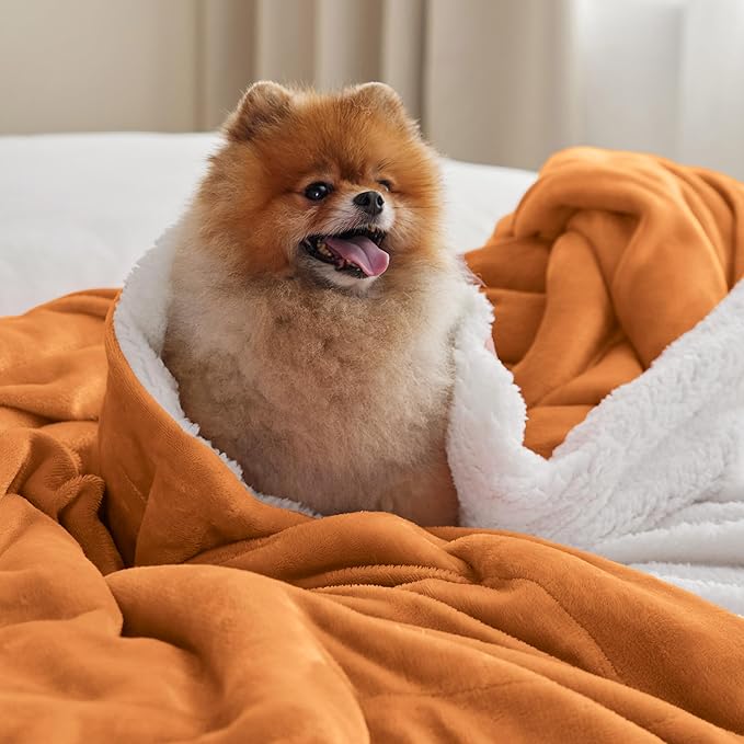 Bedsure GentleSoft Sherpa Fleece Throw Blanket for Couch - Thick and Warm, Soft Fuzzy Plush Throw Blanket for Winter, Orange, 50x60 Inches