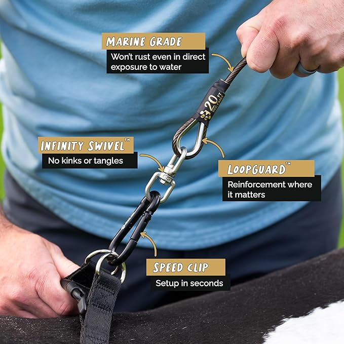 ROYAL PAW Dog Tie Out Cable and Stake 20ft - for Large Dogs up to 300 lbs - Heavy Duty Tether and Dog Stake for Yard, Beach & Camping Outside (Black, L/XL - 20ft)