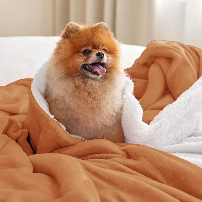 Bedsure GentleSoft Sherpa Fleece Throw Blanket Twin Size for Couch - Thick and Warm, Soft Fuzzy Plush Twin Blanket for Winter, Burnt Orange, 60x80 Inches