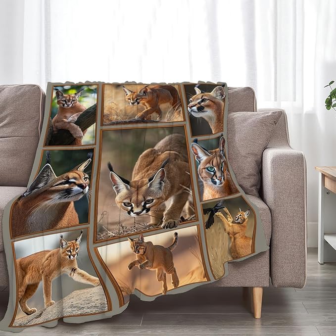 Caracal Blanket African Caracal Animal Lover Throw Blankets Gifts for Girls Boys Kids Soft Cozy Fleece Plush for Couch Sofa Bed 60"x50"