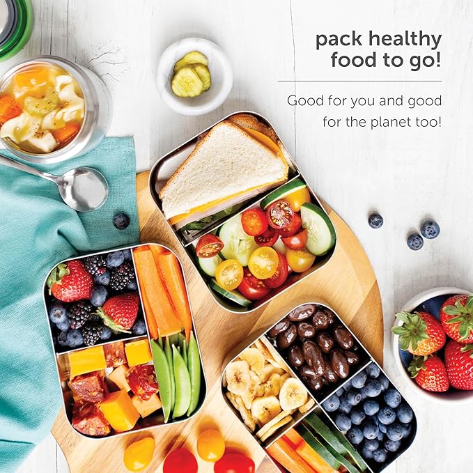 LunchBots Small Snack Packer Bento Box - Extra Small Divided Stainless Steel Snack Container - 2 Compartments for Fruits, Vegetables and Finger Foods - Dishwasher Safe – Stainless Lid