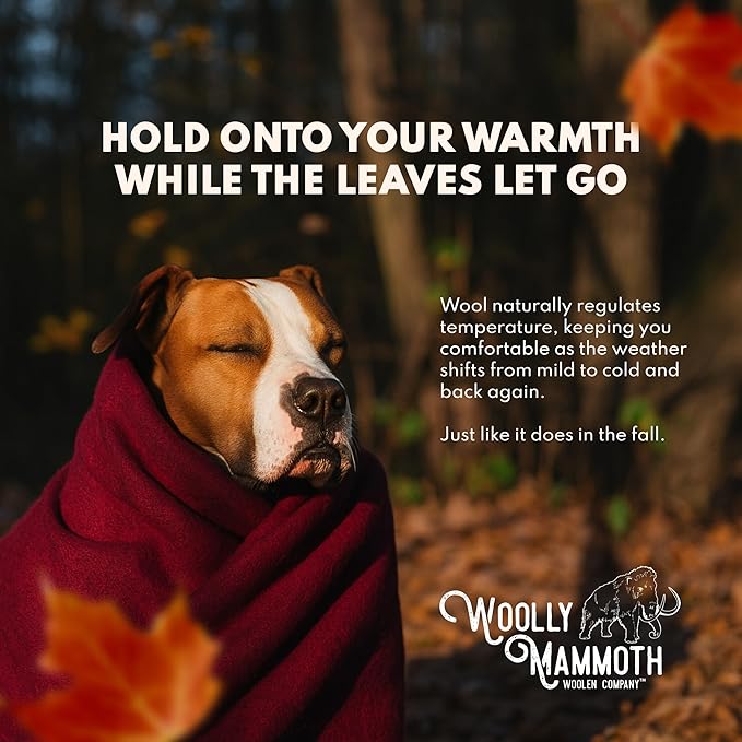 Woolly Mammoth Woolen Company Merino Wool Blanket - 66 x 90 in, Brown - Modern Twill Outdoor Throw Blanket - Self-Cleaning Washable Wool Comforter - Durable Double-Stitched Design for Cowboy Bedroll