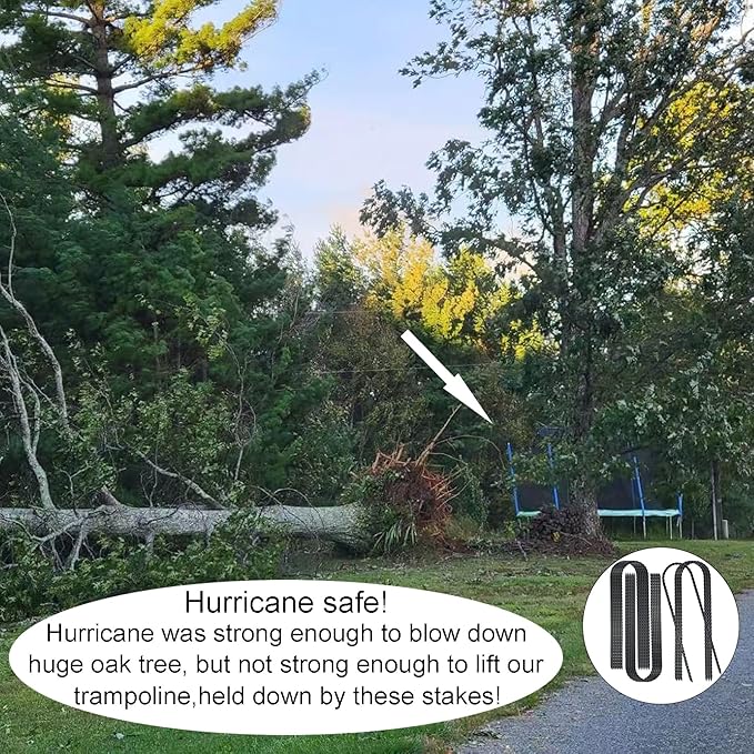 10-Inch Trampoline Stakes Heavy Duty U Shaped Rebar Ground Stakes Ground Anchors for Sporting Goods Security, House Construction (12)