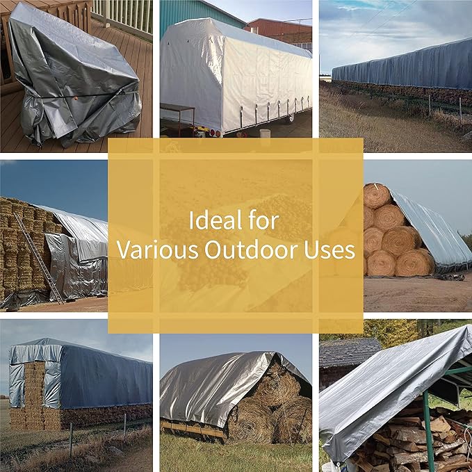 GUARD SHIELD Heavy Duty Tarp 30x40 Feet Silver Multi Purpose Thick Waterproof Poly Tarp Cover 10mil