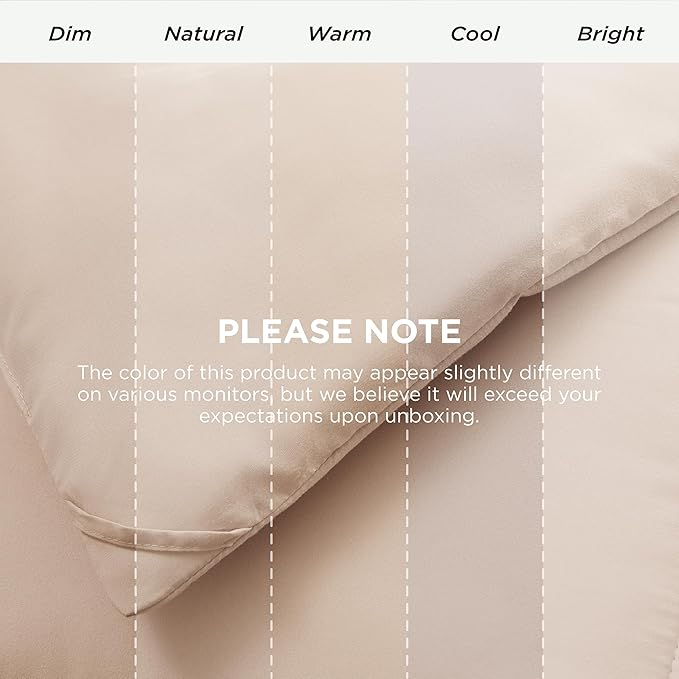 Bedsure Comforter Duvet Insert - Quilted Comforters Queen Plus Size, All Season Duvet, GentleSoft Down Alternative Bedding, with 8 Tabs, Gifts for Women/Men,Beige,Queen Plus 90 x 90 Inches