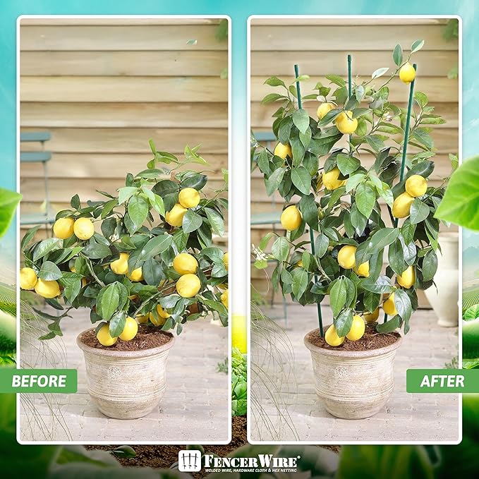 Fencer Wire 25 Pack of 3ft / 36 Inch Durable Metal Plant Supports Garden Stakes, Plant Stakes, Garden Poles for Outdoor & Indoor, Plant Support and Sticks for Tomato, Potted Plants, Beans, Cucumbers