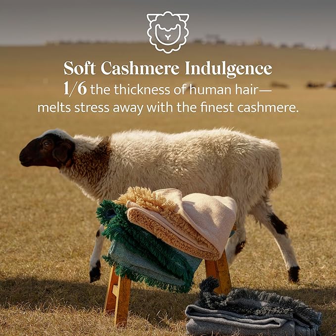 Double Stitch Cashmere Wool Throw Blanket, Mongolian Cashmere & Australian Wool Blend, Classic Twill Pattern with Fringes, Ultra-Soft & Luxuriously Warm Throw Blanket for Couch, 50"x60", Bristol Black