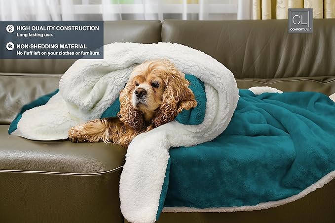 Comfort Lab Reversible Flannel Sherpa Blanket - Elegant Fluffy Bed Blankets for Bedroom and Home Decor - Anti Pilling Non Shedding Cozy & Warm Fleece Cover - Twin/Twin XL (66" x 90") - Teal