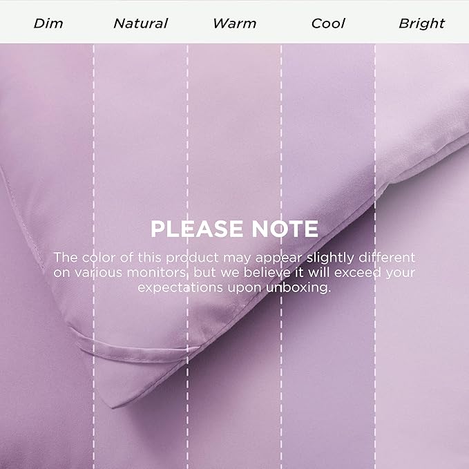 Bedsure Comforter Duvet Insert - Quilted Comforters Queen Size, All Season Duvet, GentleSoft Down Alternative Bedding, with 8 Tabs, Gifts for Women/Men, Light Purple, Queen 88 x 88 Inches