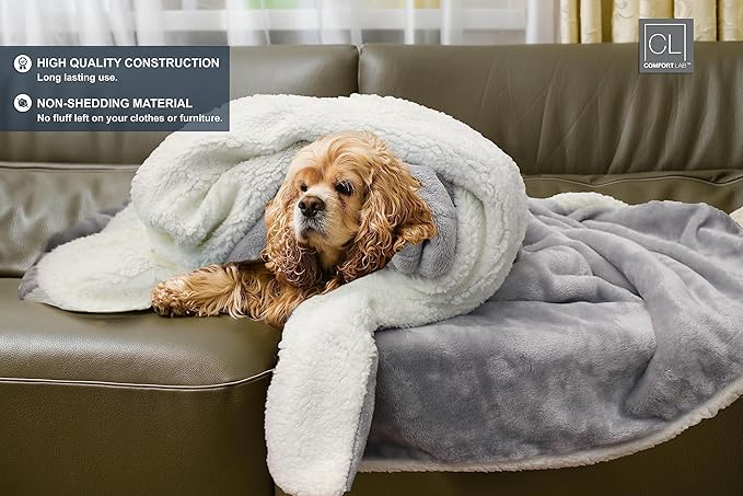 Comfort Lab Reversible Flannel Sherpa Blanket - Elegant Fluffy Bed Blankets for Bedroom and Home Decor - Anti Pilling Non Shedding Cozy & Warm Fleece Cover - Twin/Twin XL (66" x 90") - Grey