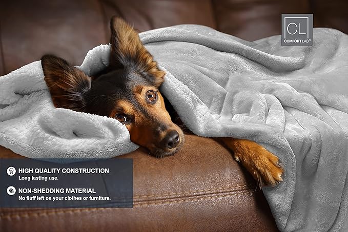Comfort Lab Reversible Flannel Sherpa Throw Blanket - Elegant Fluffy Throw Blankets for Couch and Home Decor - Anti Pilling Non Shedding Cozy & Warm Fleece Throws - Kids/Pet (40" x 50") - Grey