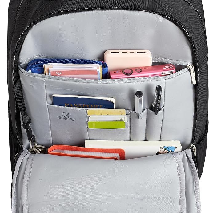 Travelon Classic Journeys 25L Backpack