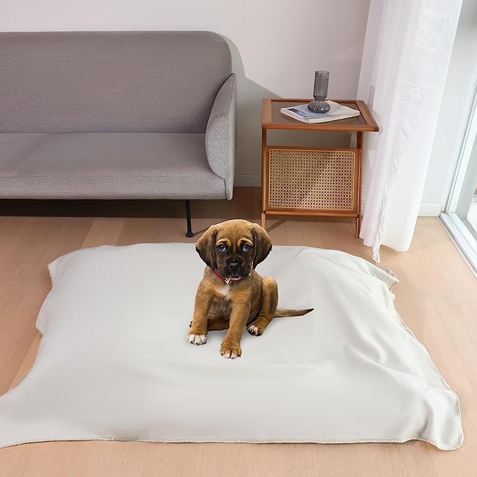 CAI TENG Fleece Throw Blankets 6 Pack Bulk Lightweight Warm Soft 50 x 60 in Kids Blanket Picnic Cozy Fleece Fabric Microfiber Small Blanket for Bed Sofa Office Travel Beige