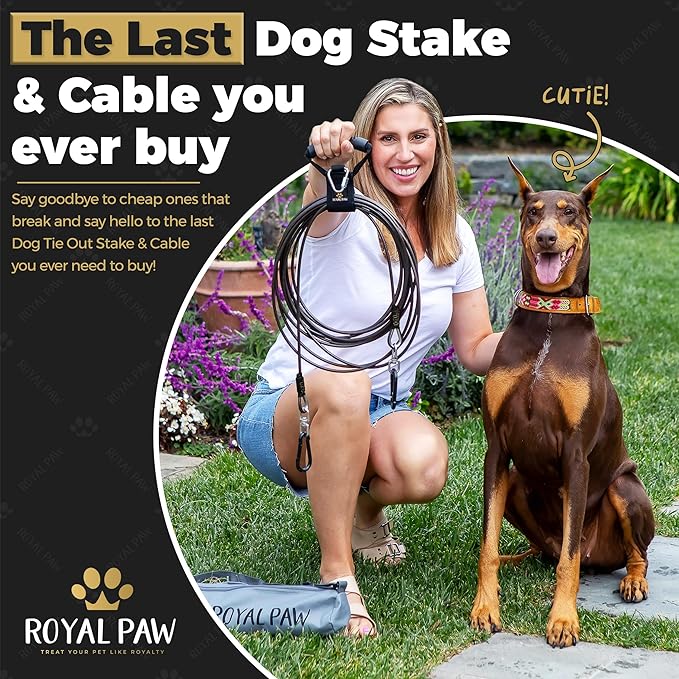 ROYAL PAW Dog Tie Out Cable and Stake 20ft - for Large Dogs up to 300 lbs - Heavy Duty Tether and Dog Stake for Yard, Beach & Camping Outside (Black, L/XL - 20ft)