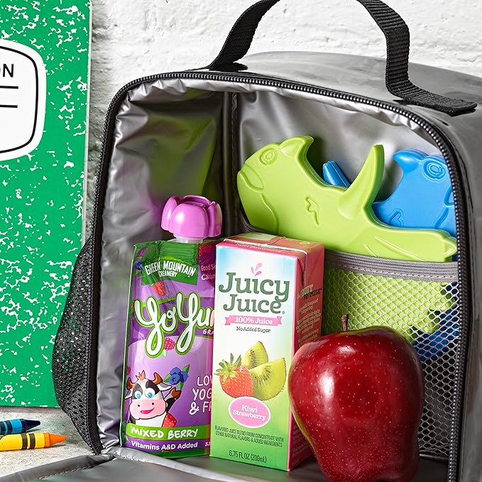 Cool Coolers Kids Lunch Box Ice Packs, Slim Ice Packs for Lunch Bags, Reusable-Multicolored 4 Pack (Dinosaur)