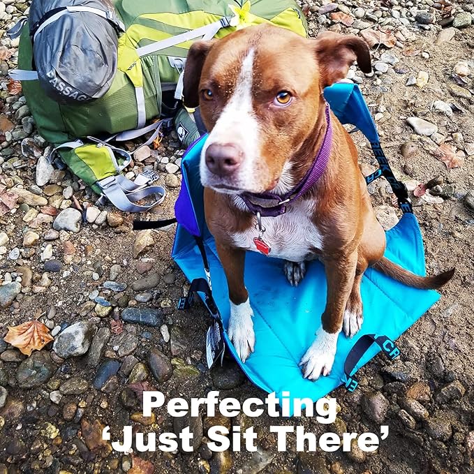 Crazy Creek Original Chair Perfect for Stadium Seats, Camping, Hiking & More, Comfort on All Terrains, Adjustable Straps, Lightweight Design, Water-Resistant